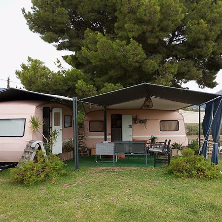 Caravana- Glamping Casa Tortuga La Nucía Eksteriør bilde
