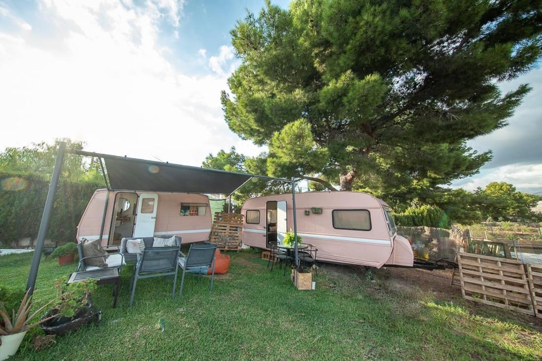 Caravana- Glamping Casa Tortuga La Nucía Eksteriør bilde